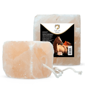 Excellent Horse Salt Lick Himalaya 2-3 kg (Met touw)
