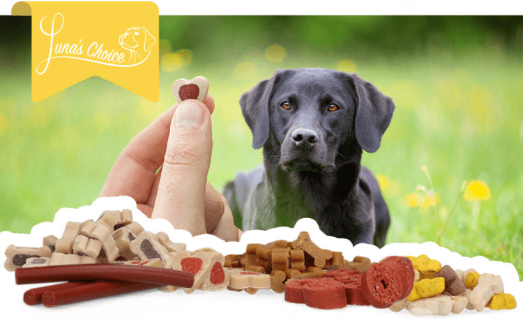 Luna's Choice Trainer Mix Sport (glutenvrij) - Afbeelding 3