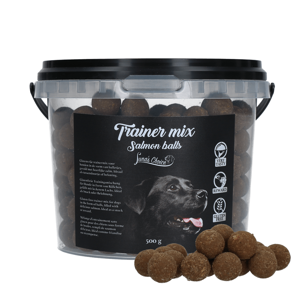 Luna's Choice Trainer Mix Zalm Balletjes (glutenvrij)