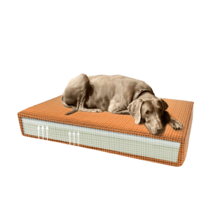 Madison Orthopedisch Kussen Velvet Oranje S