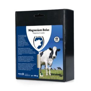 Excellent Magnesium Bolus 4 x 180 g
