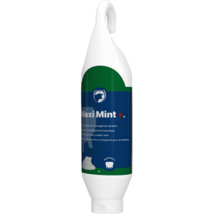 Excellent Maxi Mint+ Sta-/Hangtube 1 l