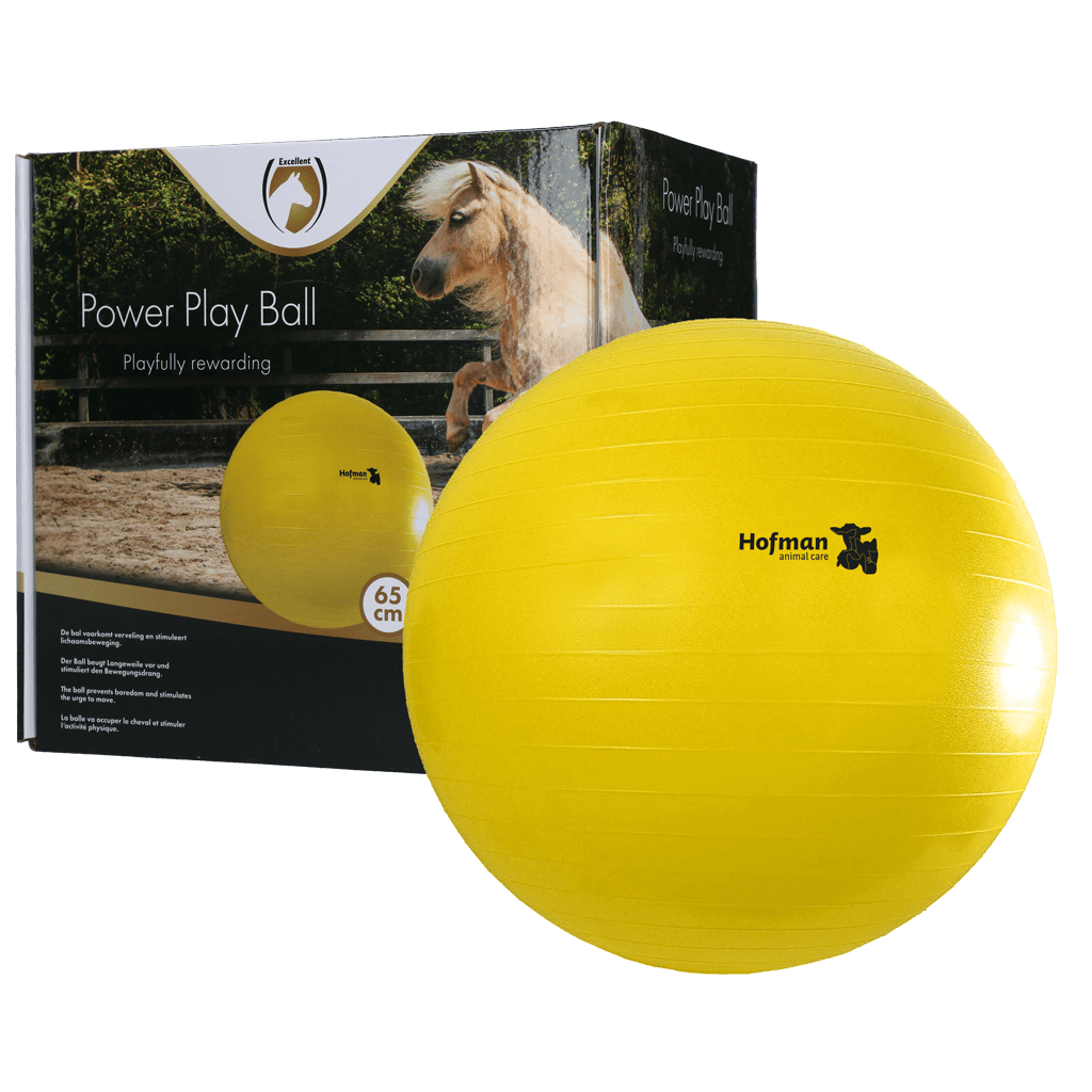 Maximus Power Play Ball 65 cm