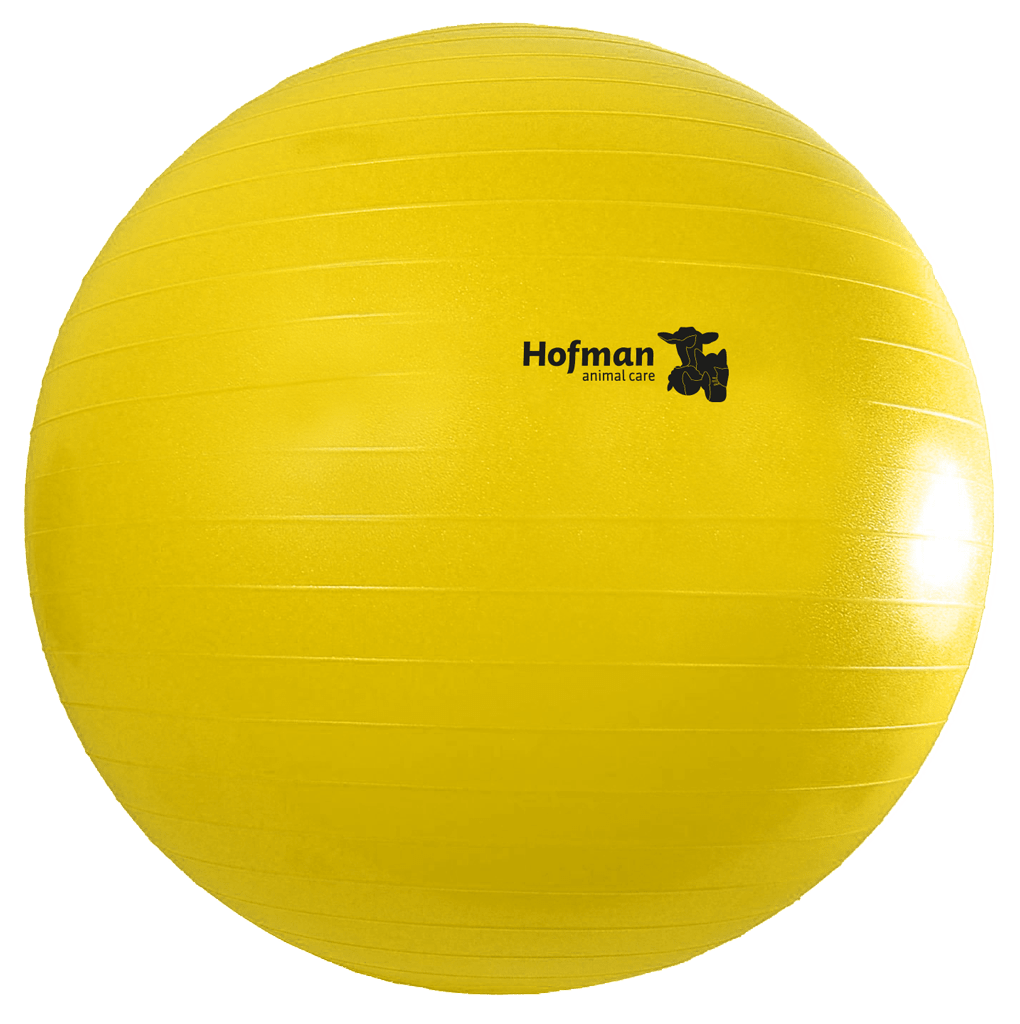 Maximus Power Play Ball 100 cm - Afbeelding 2