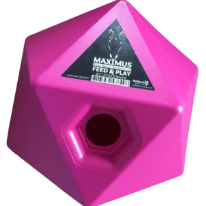 Maximus Feed & Play Roze