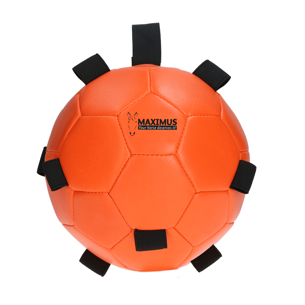 Excellent Horse Fun Play Ball Oranje - Afbeelding 2