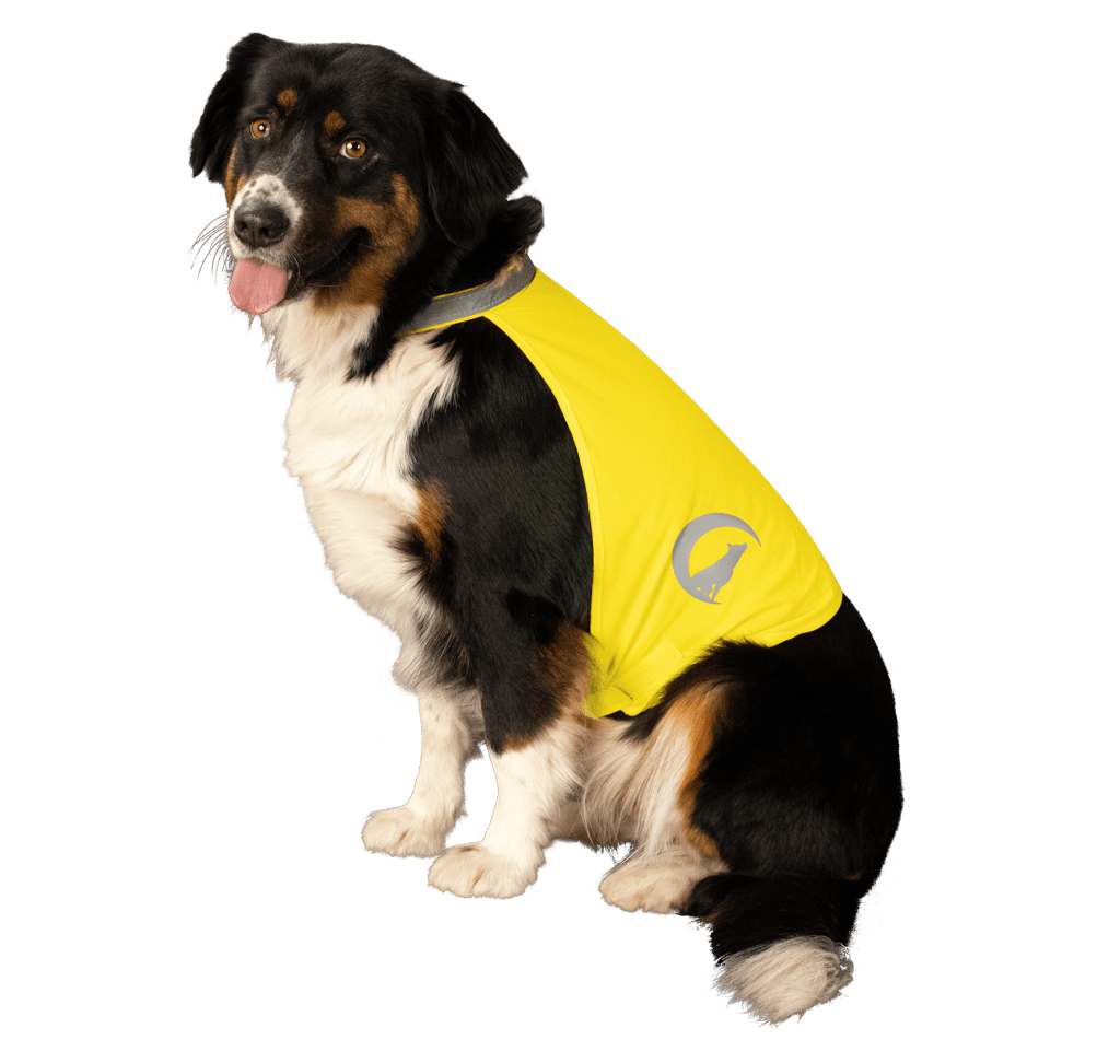 Nightwalk Safety Vest Geel S - Afbeelding 3