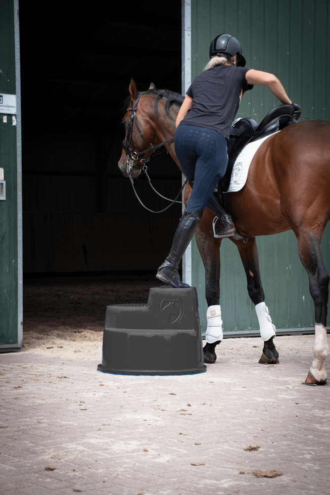 Excellent Horse Opstaphulp 3 Treden Zwart - Afbeelding 4