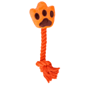 Oranje High Five