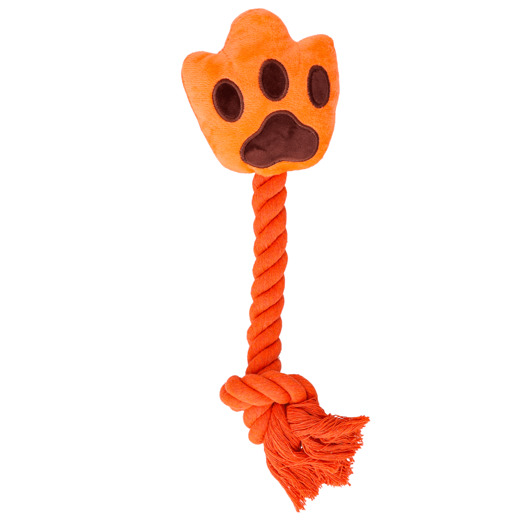 Oranje High Five