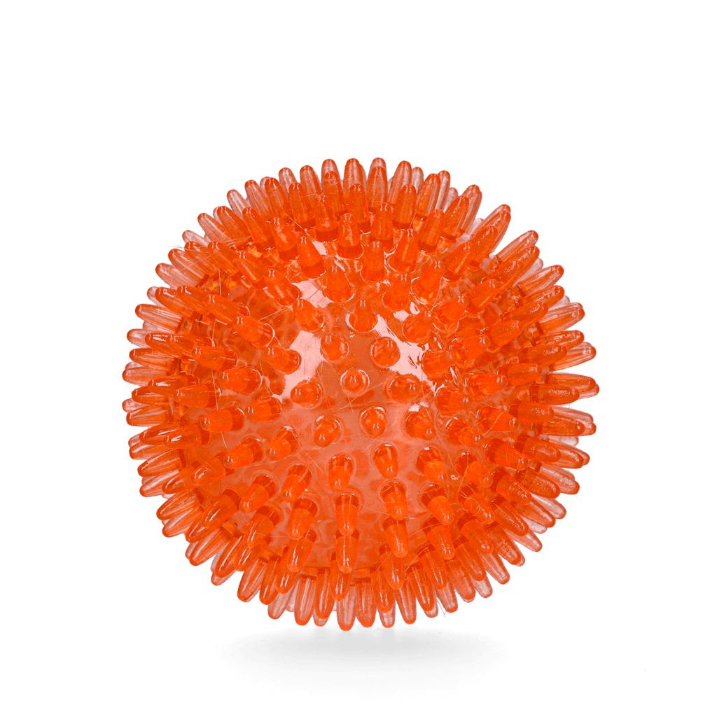 Oranje Egelbal M