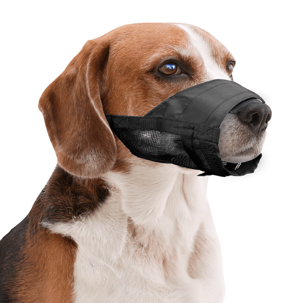 Pawise Adjustable Nylon Muzzle L - Afbeelding 2