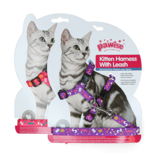 Pawise Kitten Harness With Leash Pink/Purple