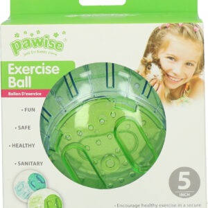 Pawise Exercise Ball S - 13 cm