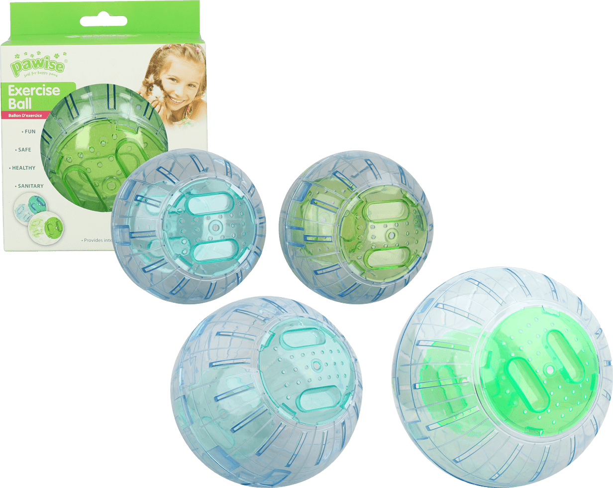Pawise Exercise Ball S - 13 cm - Afbeelding 5