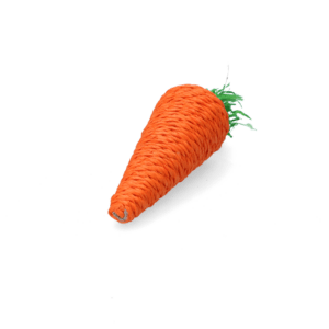 Pawise Play & Chew Carrot