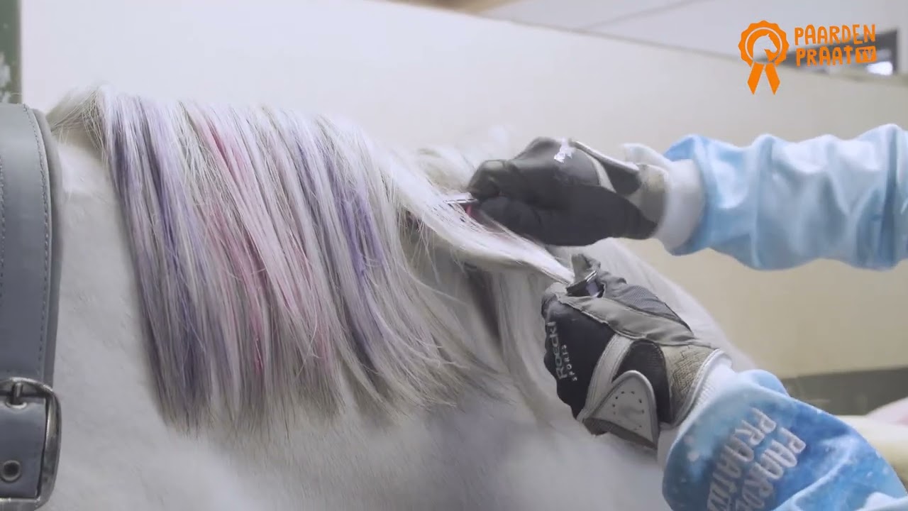 Paardenpraat Regenboog Kleurkrijt - Afbeelding 2