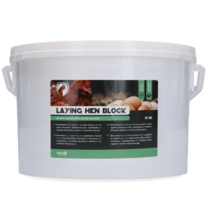 Excellent Legkippen Blok 10 kg