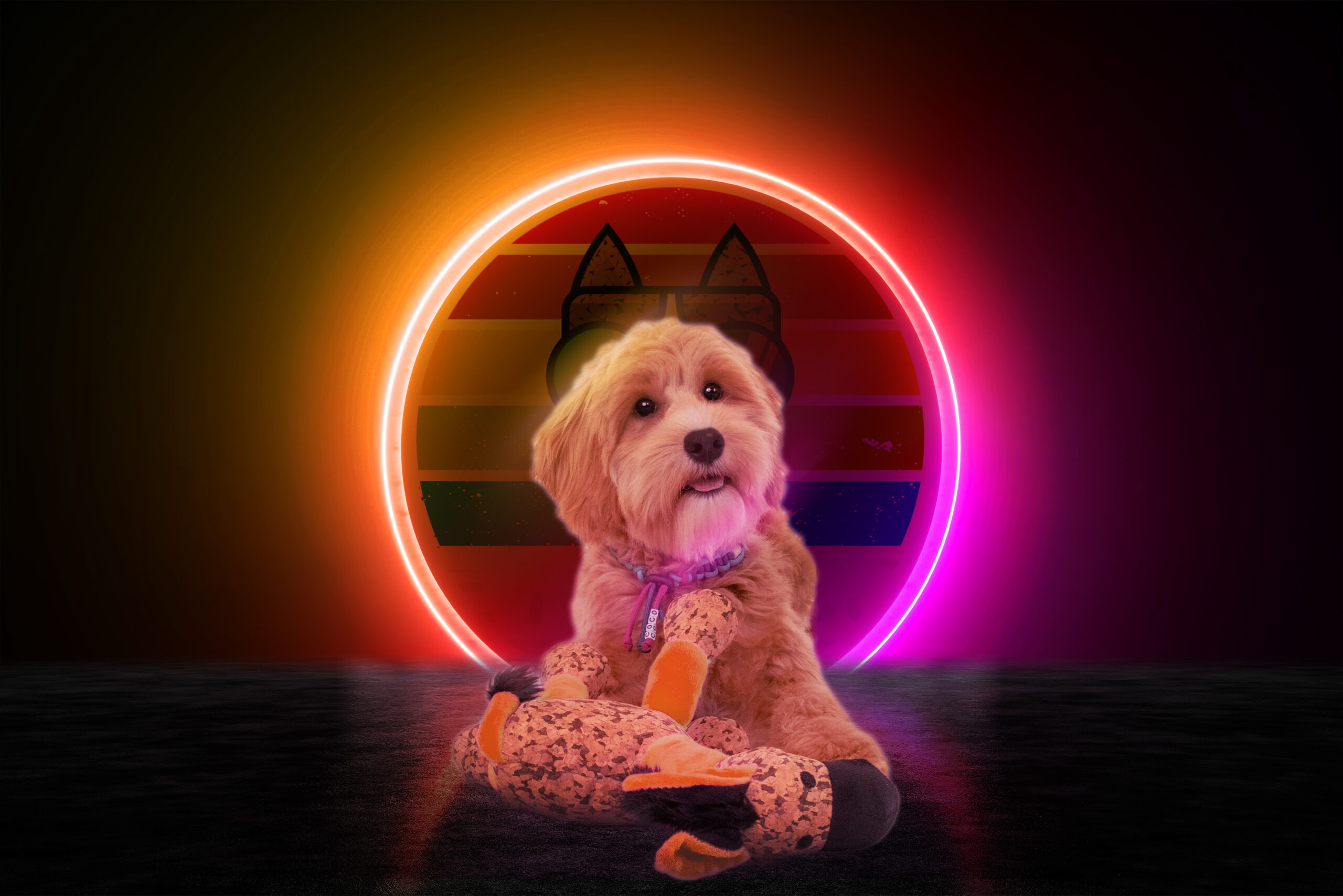 Retrodog Donkey Oranje S - Afbeelding 3