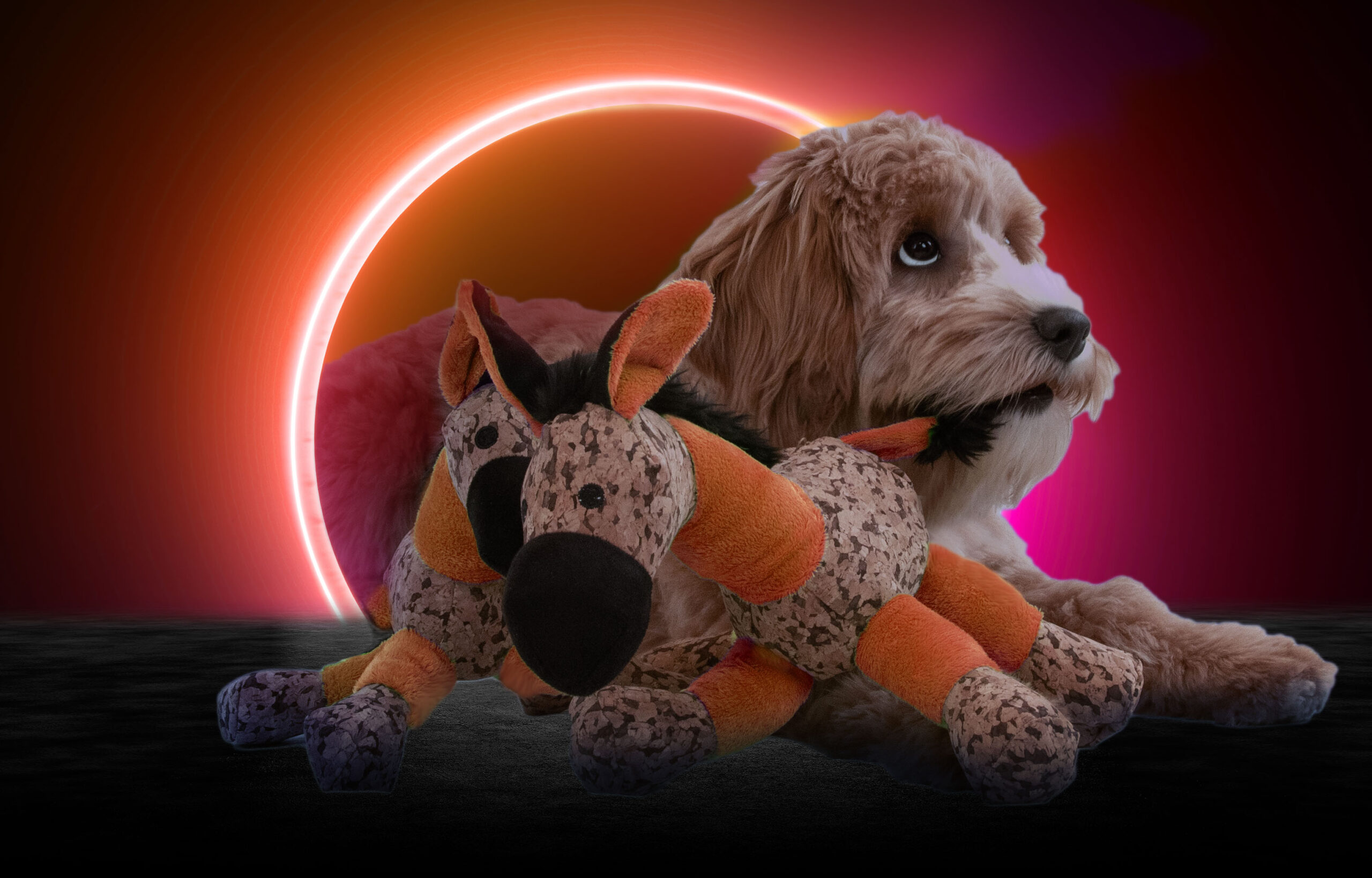 Retrodog Donkey Oranje S - Afbeelding 4