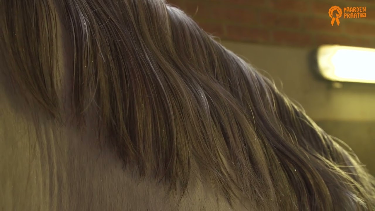 Paardenpraat TV Glitter Glamour Spray Zilver - Afbeelding 2