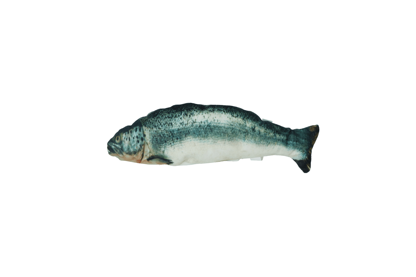 Robocat Zalm - Afbeelding 2