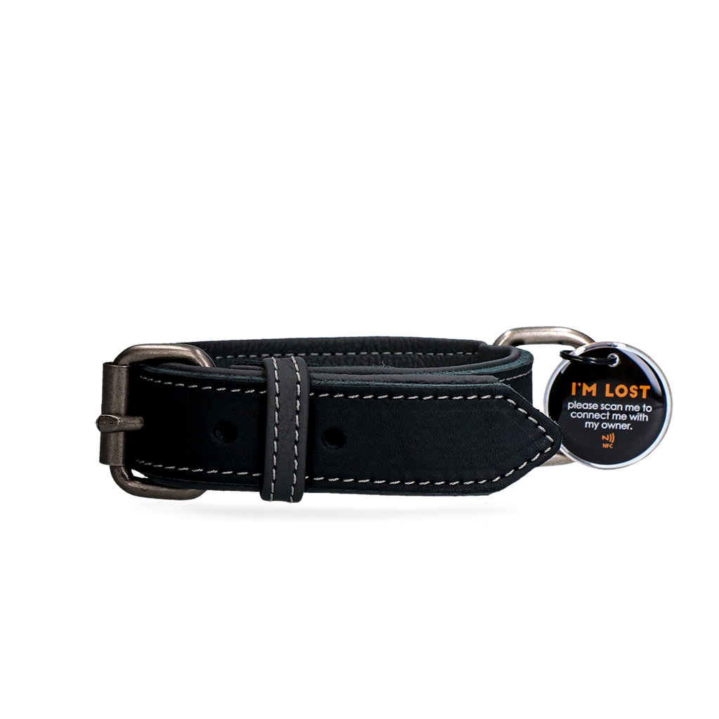 Spotted! Pro Leren Halsband Zwart 2,5 x 40 cm