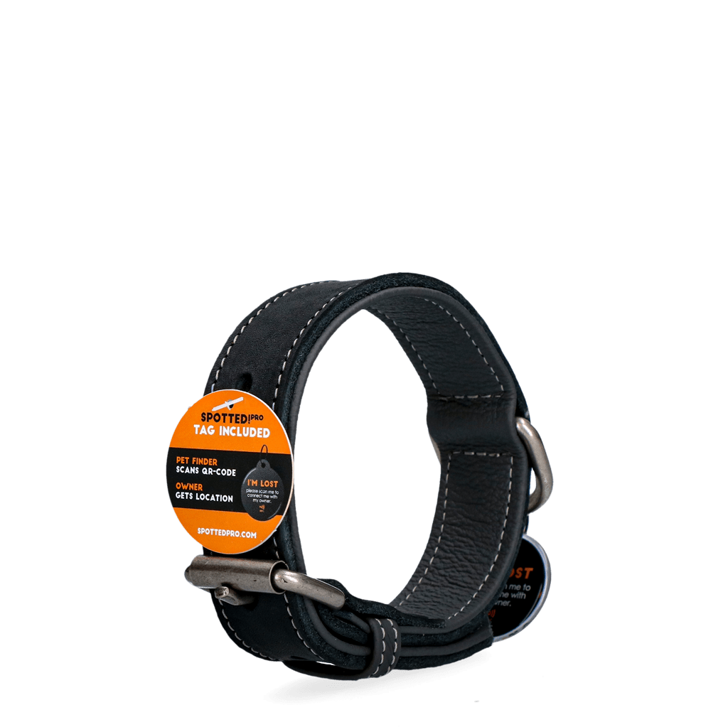 Spotted! Pro Leren Halsband Zwart 2,5 x 50 cm - Afbeelding 4