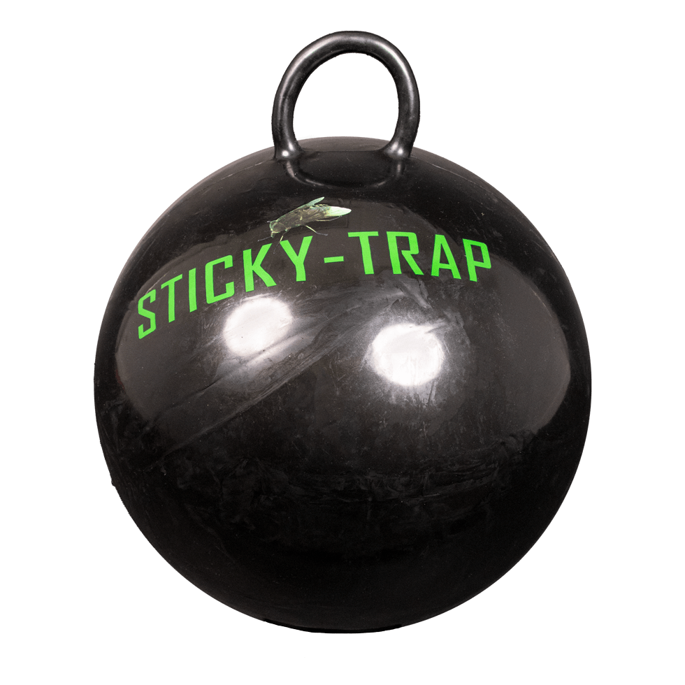 Sticky Trap Bal 60 cm