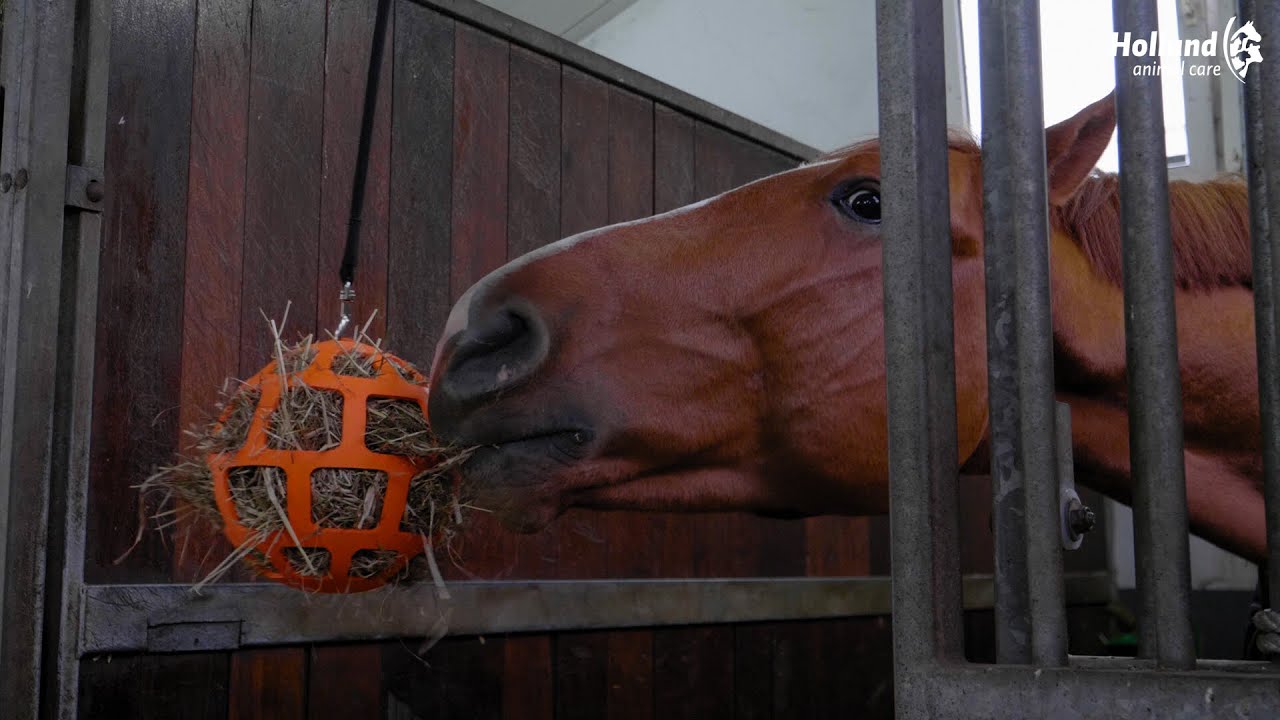 Hay Slow Feeder Fun & Flex Roze - Afbeelding 3