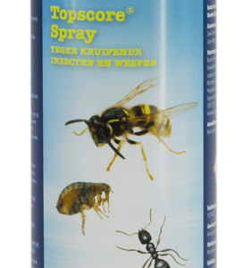 Topscore Kruipende insecten