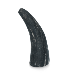 Viking Horn Whole S