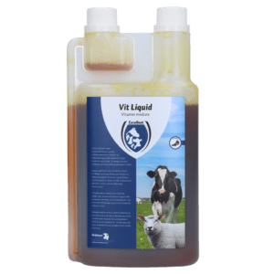 Excellent Vit Liquid Multivitamine 1 l