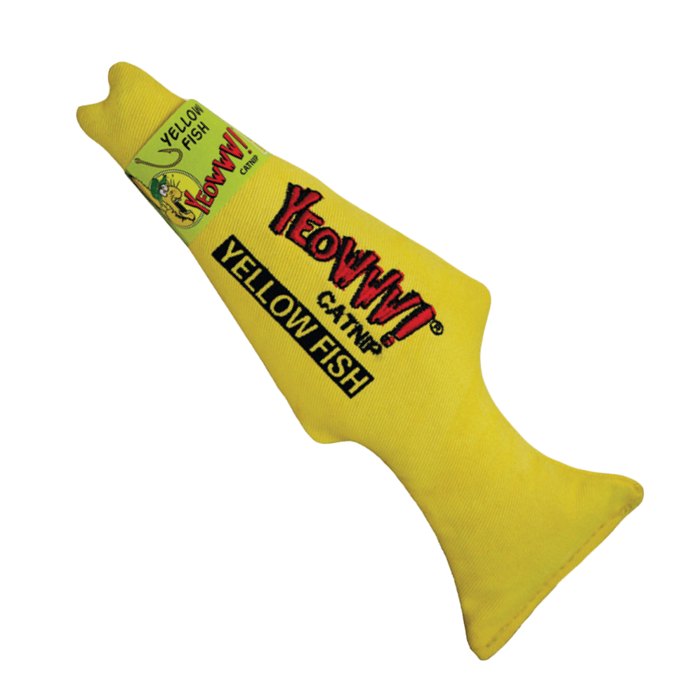 Yeowww! Yellow Fish