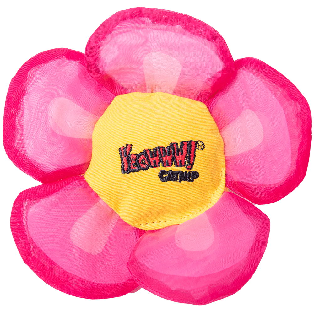 Yeowww! Daisy's Flower Tops Pink