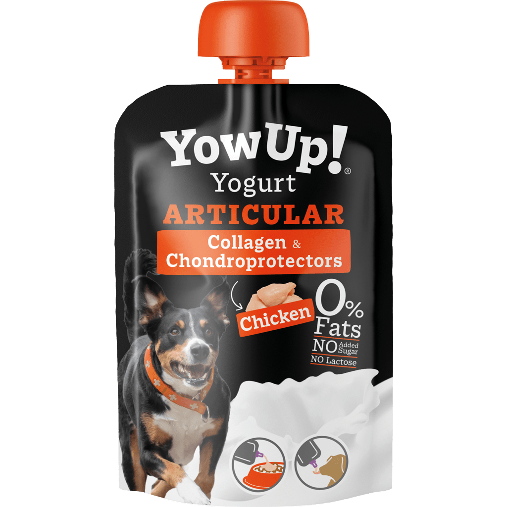 YowUp! Yogurt Dogs Chicken Articular