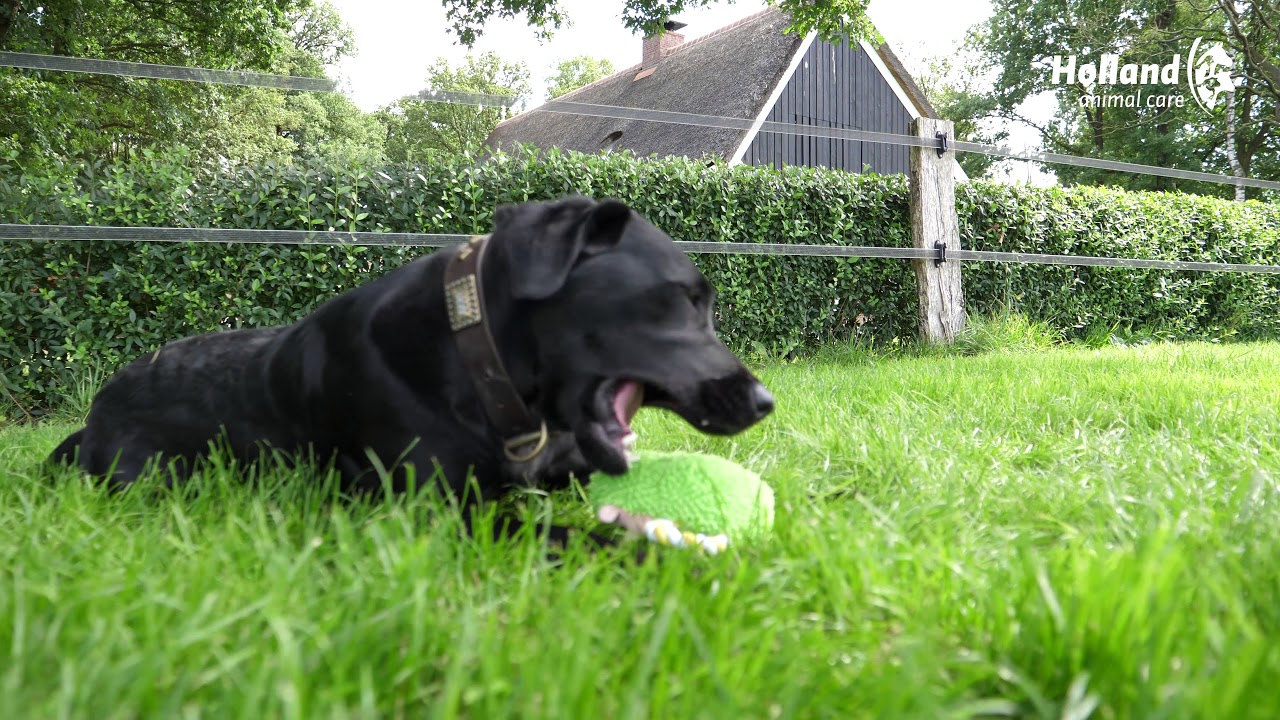 Fuzzle met pieper Konijntje - Afbeelding 3