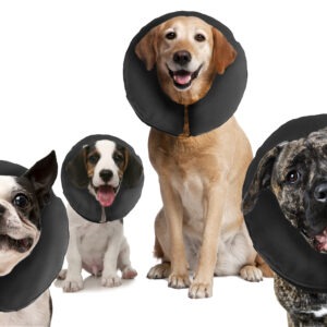 Zenpet ProCollar XL