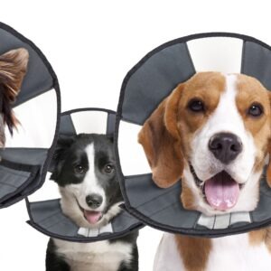 Zenpet Procone S