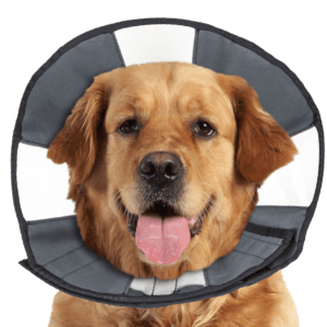 Zenpet Procone XL