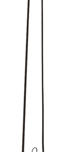 Longeerzweep 180cm