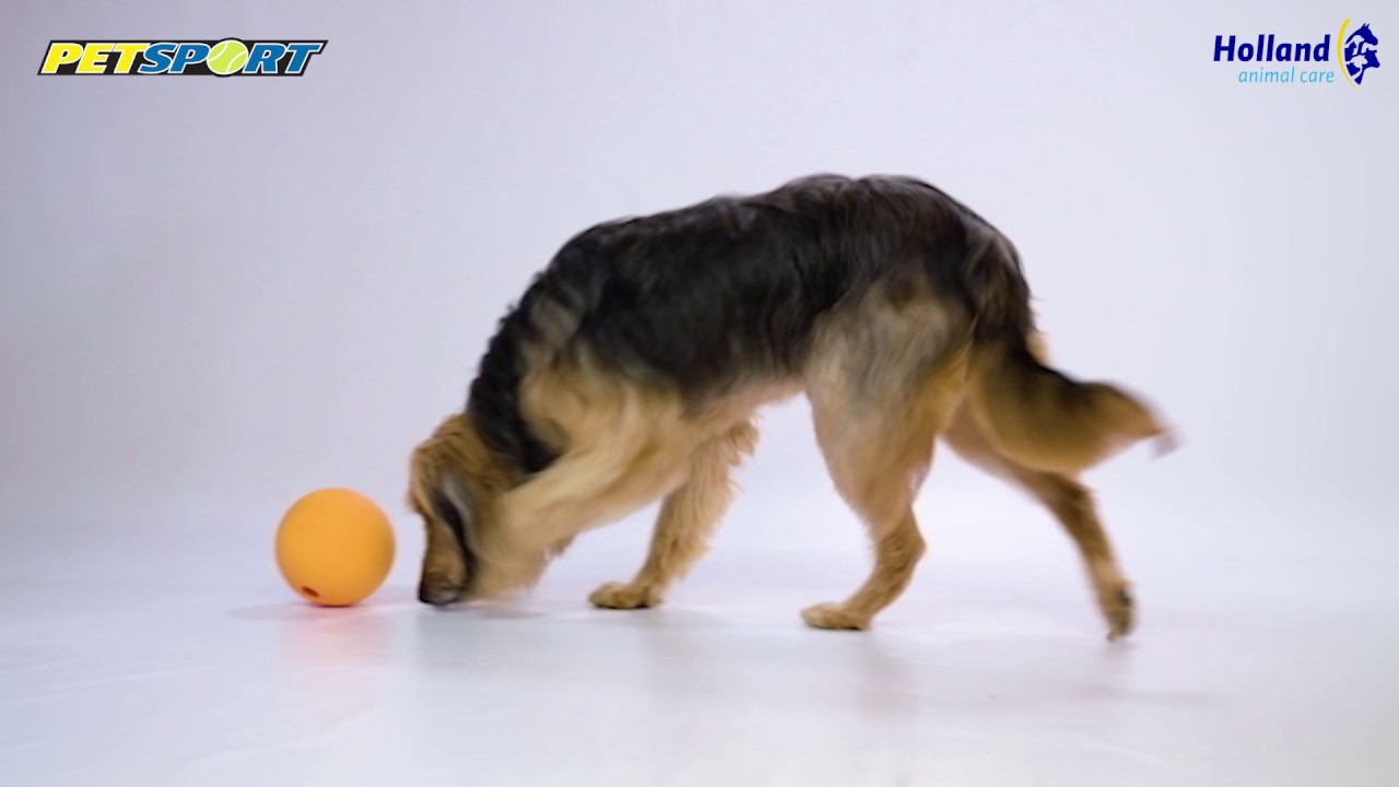 Petsport Kingpin Kibbler Zwart - Afbeelding 2