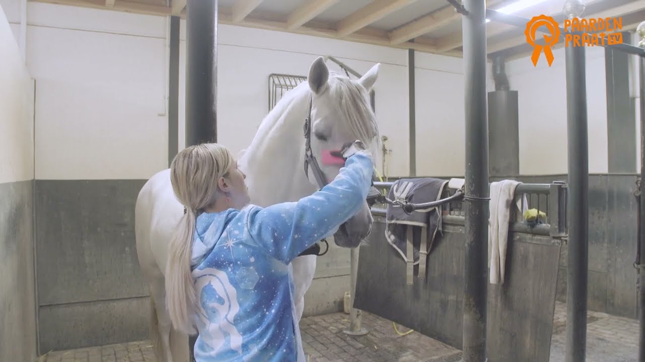 Paardenpraat Grooming Brush Roze M - Afbeelding 2