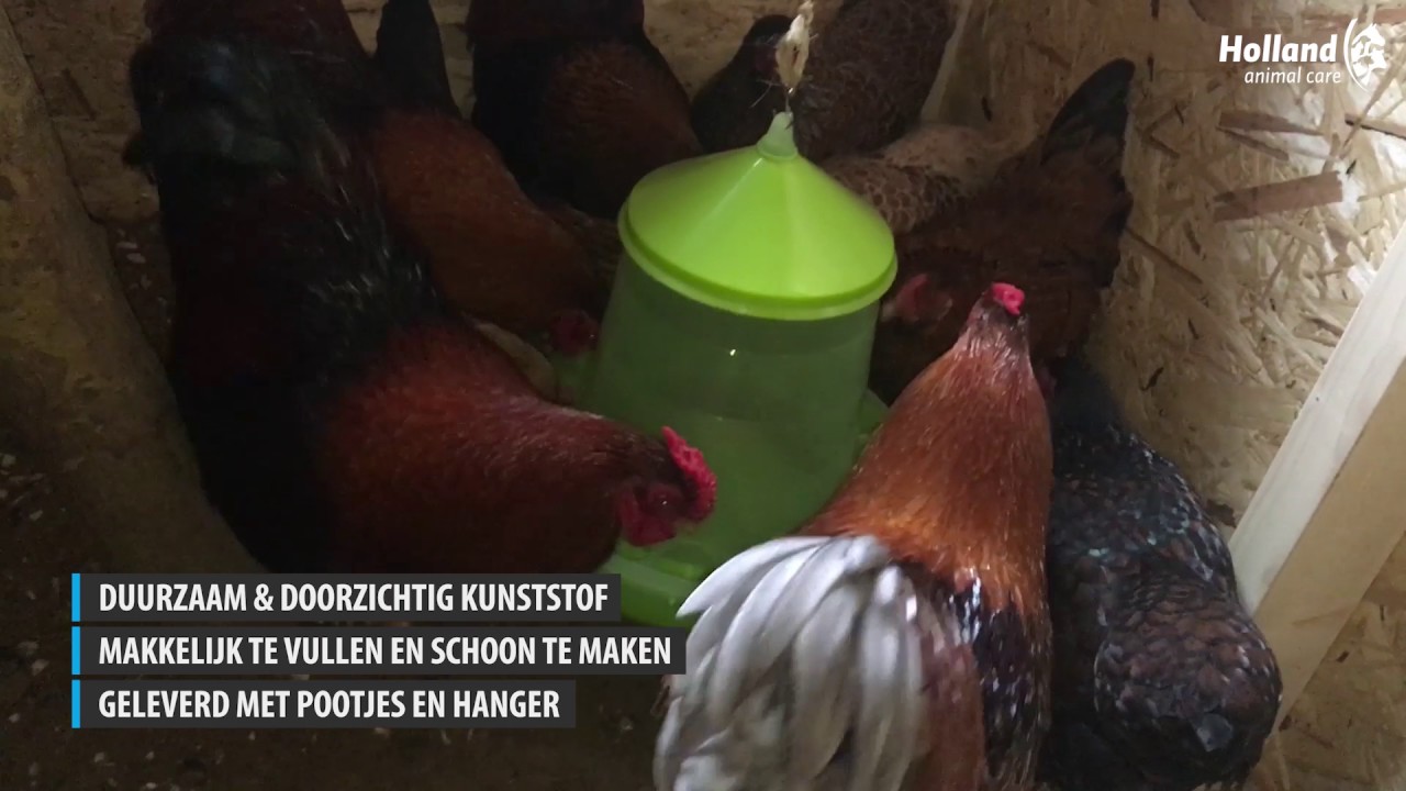 Gaun Pluimvee Voertoren Limoengroen 2 kg - Afbeelding 3