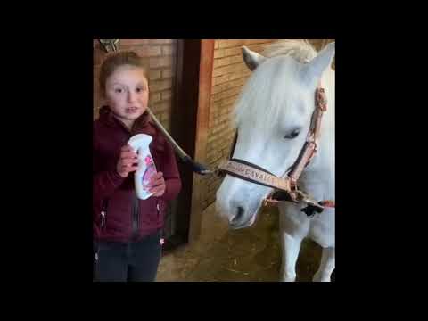 Lucky Horse Unicorn Knuffel Spray - Afbeelding 2