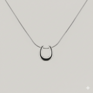 Zilverkleurige titanium hoefijzer ketting