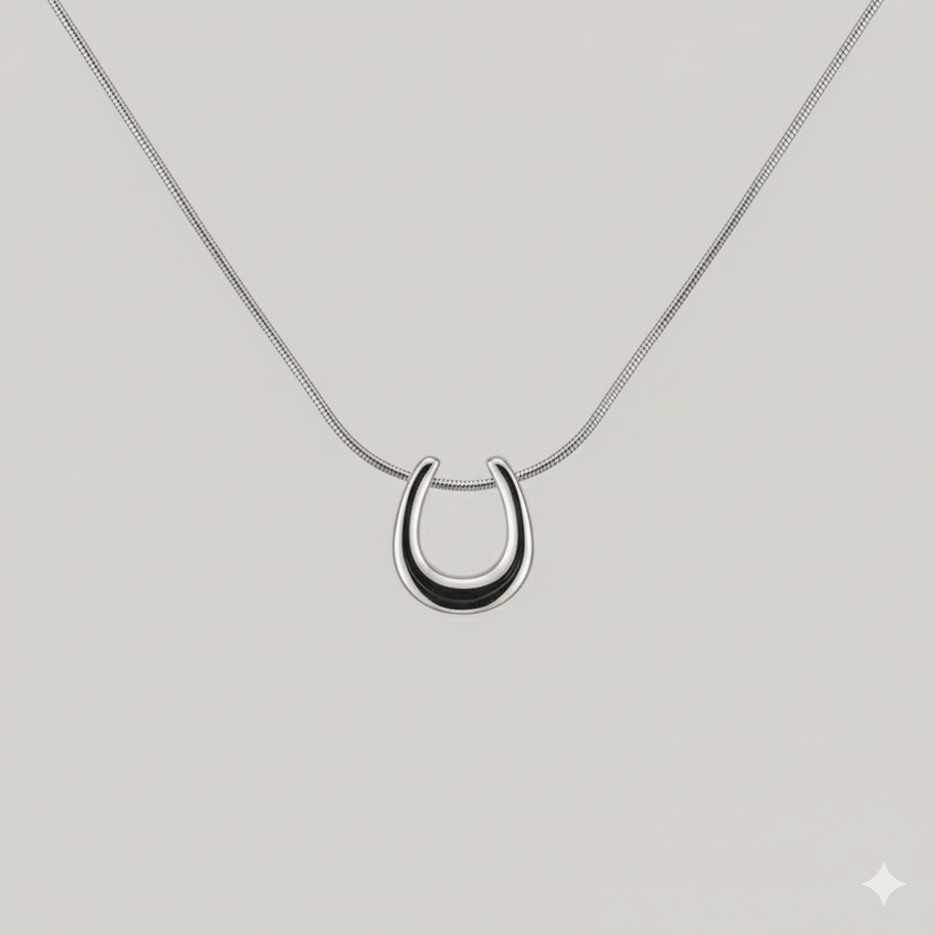 Zilverkleurige titanium hoefijzer ketting